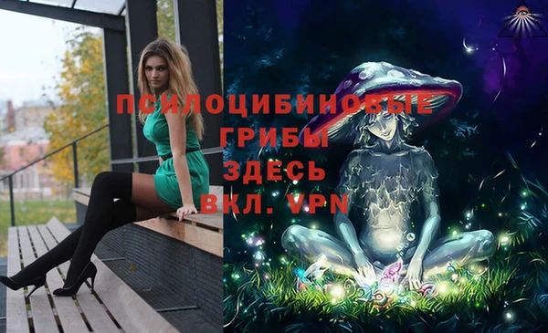 стафф Абаза