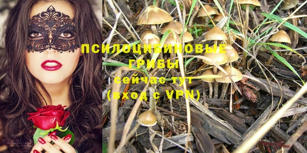мет Коряжма
