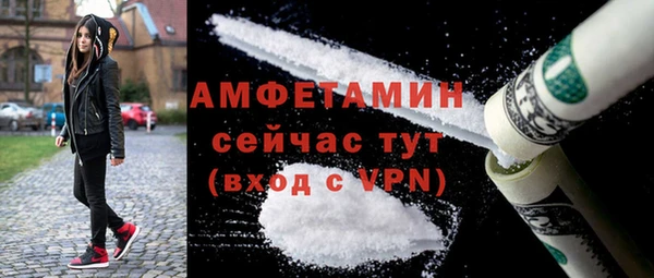 дживик Инта