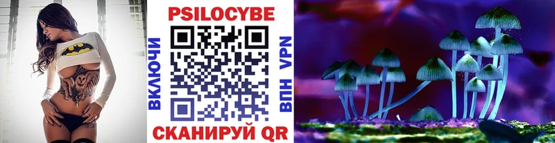 Псилоцибиновые грибы мухоморы  omg ТОР  Пудож 