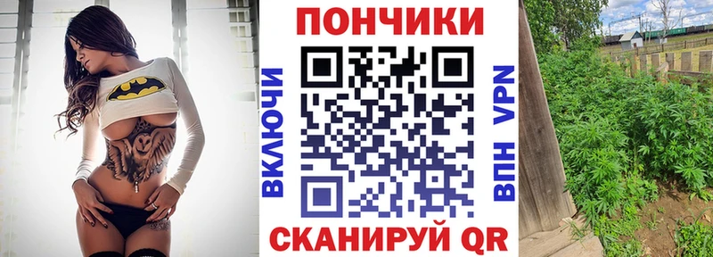 OMG ссылки  Пудож  Бошки марихуана OG Kush 